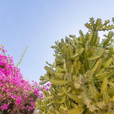 Bitacora Lanzarote Club דירה פוארטו דל כרמן