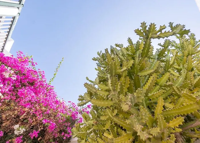 Bitacora Lanzarote Club Διαμέρισμα Πουέρτο Ντελ Κάρμεν