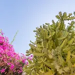 Bitacora Lanzarote Club Apartment Puerto del Carmen (Lanzarote)